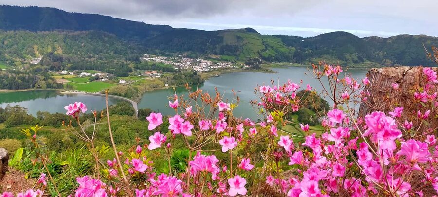 Ponta Delgada: Sete Cidades Volcano Lakes Shore Excursion - Key points at a glance