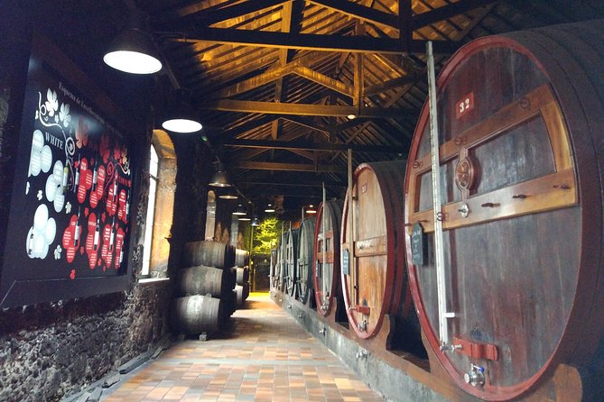 Port Wine Lodges Tour Including 7 Port Wine Tastings (English) - The guides make or break the afternoon