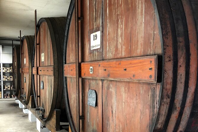 Port Wine Tour | 3 Cellars | 7 Tastings | 12 Participants Maximum - Who should book this port tour?