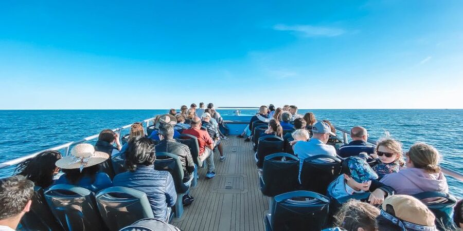 Portimão: Benagil Caves & Dolphins Watching with Biologist - Why this Portimão cruise is worth considering