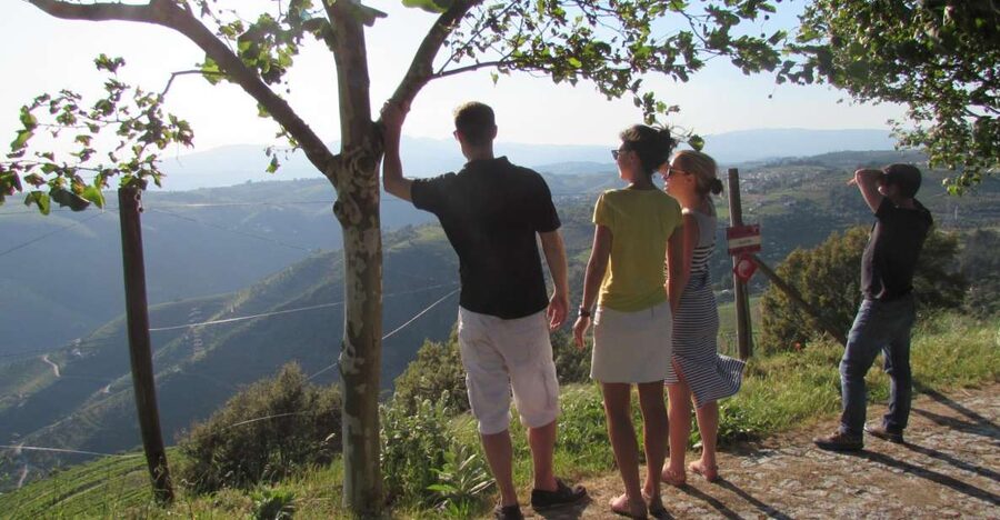 Porto: 3 Douro Valley Vineyards Tour with Lunch - Why the Douro Valley makes a good day from Porto