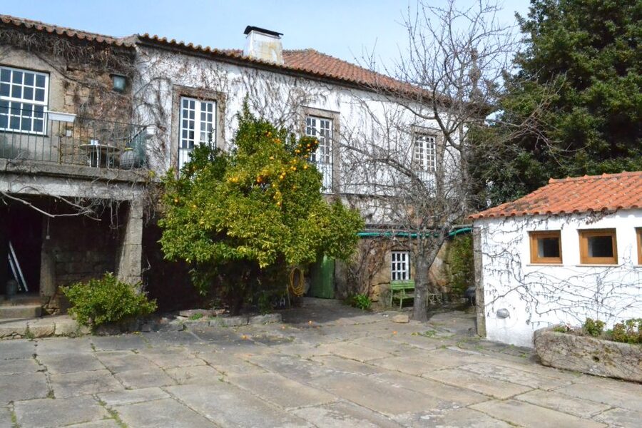 Porto: 3 Douro Valley Vineyards Tour with Lunch - The second stop: views, port, and a more relaxed setting