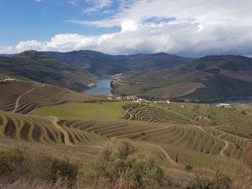 Porto: 3 Douro Valley Vineyards Tour with Lunch - The final winery: polished facilities and more port