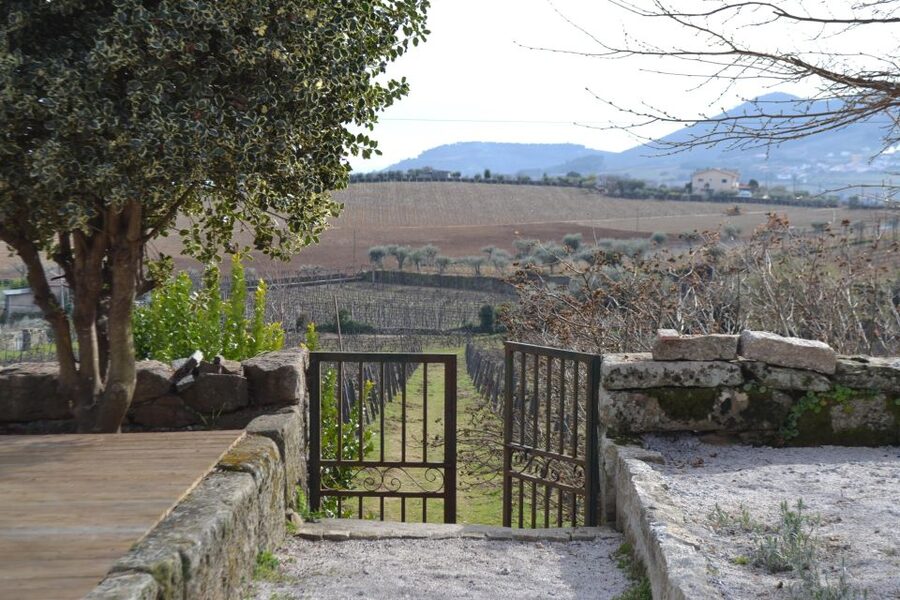 Porto: 3 Douro Valley Vineyards Tour with Lunch - Is $129 a fair price?