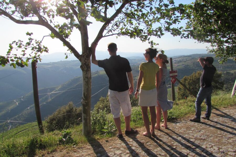 Porto: 3 Douro Valley Vineyards Tour with Lunch - The first vineyard: a gentle start with wine and local snacks