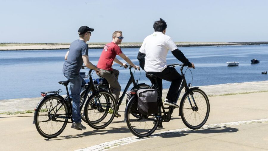 Porto: 3-Hour Bike Tour - Castelo do Queijo and the Atlantic edge