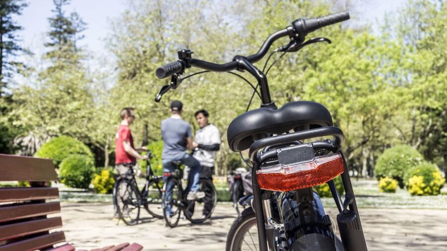 Porto: 3-Hour Bike Tour - City Park gives the ride breathing room