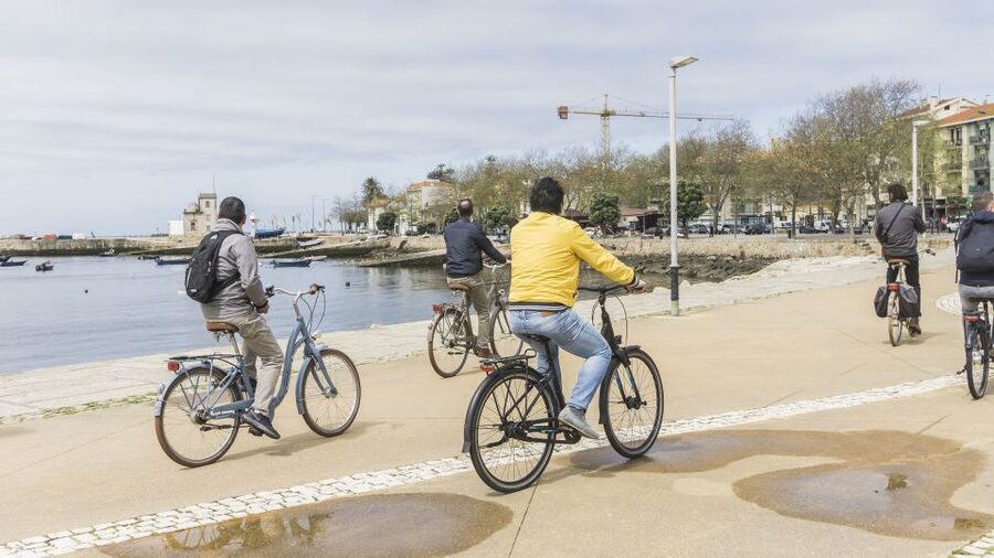 Porto: 3-Hour Bike Tour - Calém Garden and the Douro Estuary