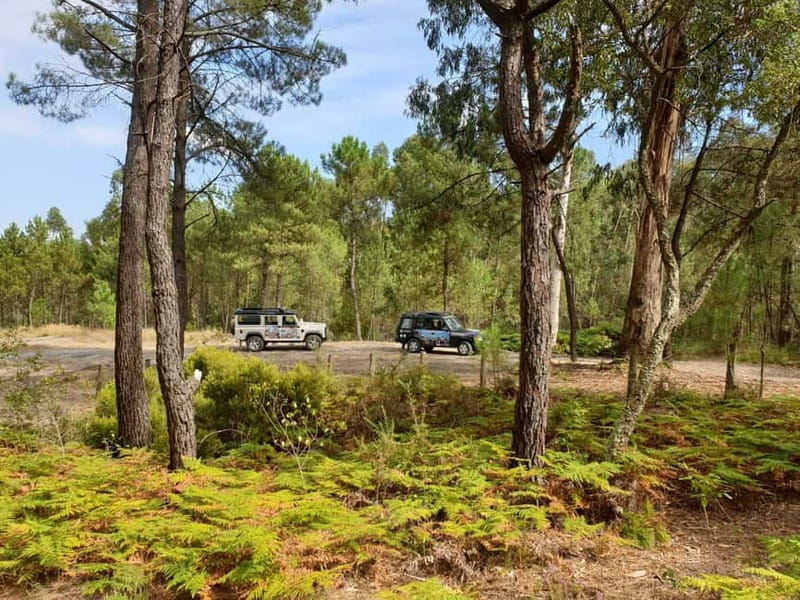 Porto: 4x4 Mountain Tour - The guides are a major part of the experience