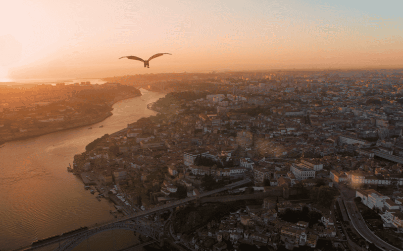Porto: 5D Flight over de City for all family. - Key points to know before you go
