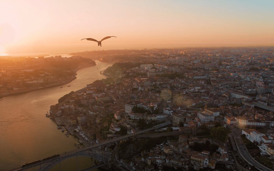 Porto: 5D Flight over de City for all family. - The city sights you will see from above