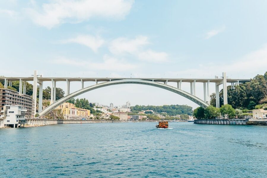 Porto: 6 Bridges Douro River Cruise - Who will enjoy this cruise most?