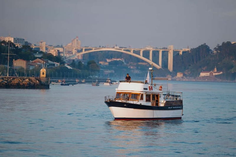 Porto: 6 Bridges Port Wine River Cruise with 4 Tastings - What this Douro cruise is really like