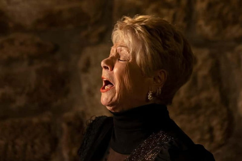 Porto: An Intimate Fado Show in a Historical Tavern - Who will enjoy this Porto Fado show most