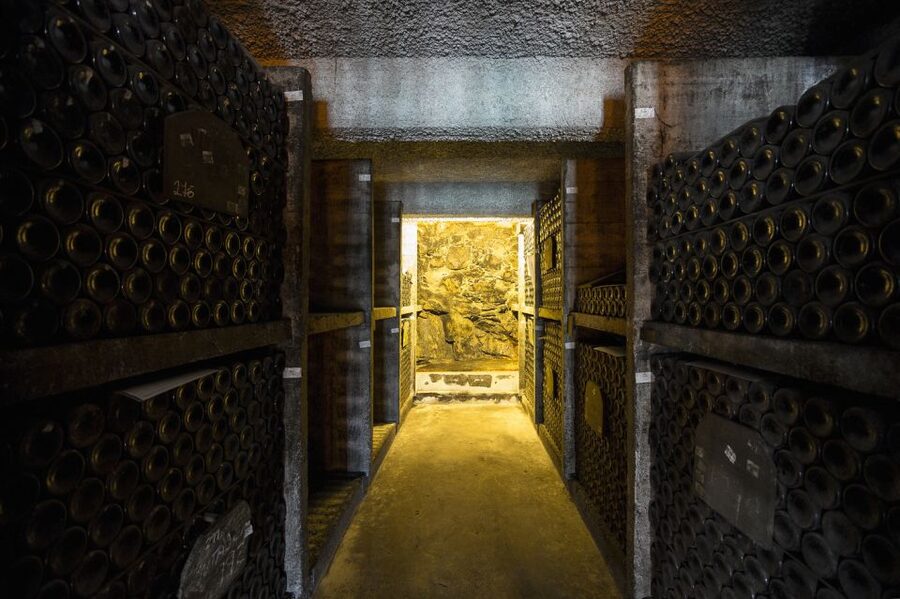 Porto: Burmester Cellar Tour with Tasting & Pairing Options - The guides make the short format work