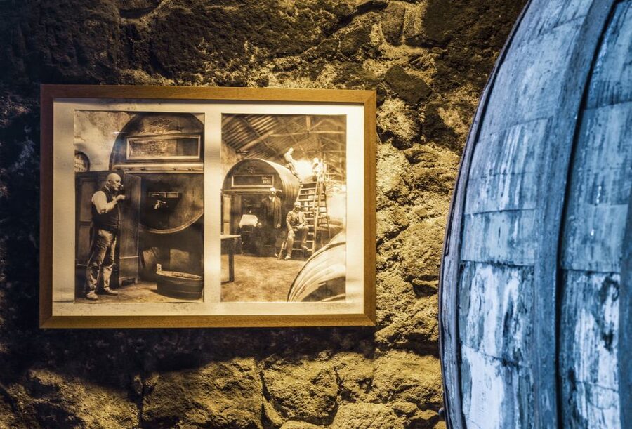 Porto: Burmester Cellar Tour with Tasting & Pairing Options - Who should book Burmester Cellars?