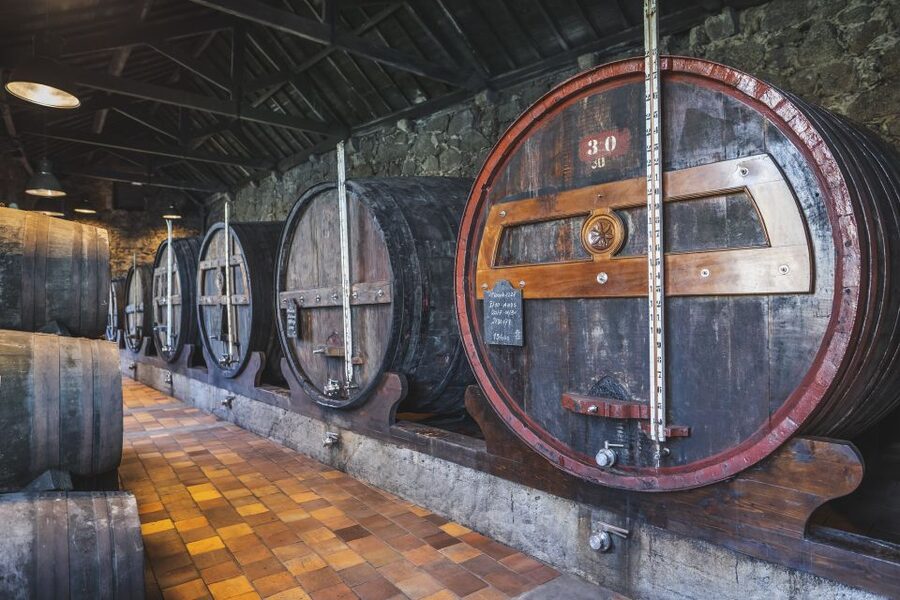 Porto: Burmester Cellar Tour with Tasting & Pairing Options - Finding the cellar beside the Luiz I Bridge
