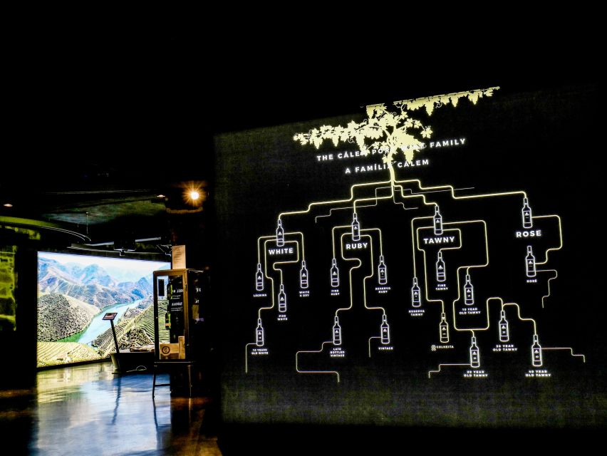 Porto: Cálem Cellar Tour, Fado Show & Wine Tasting - Who should book this experience?