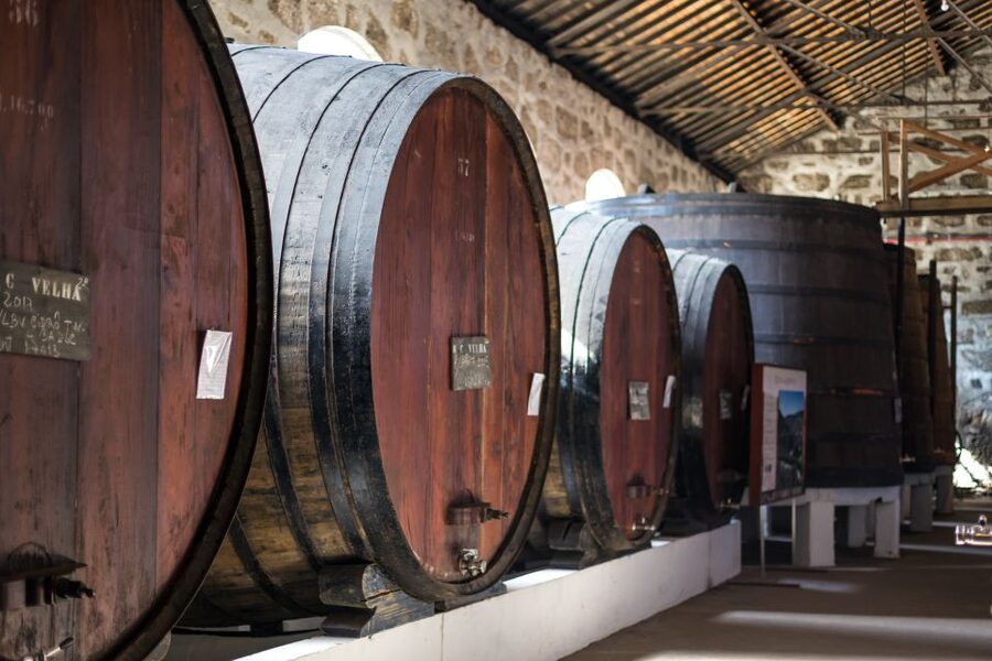 Porto: City Train Tour, River Cruise & Wine Cellar - Timing the three activities in one day