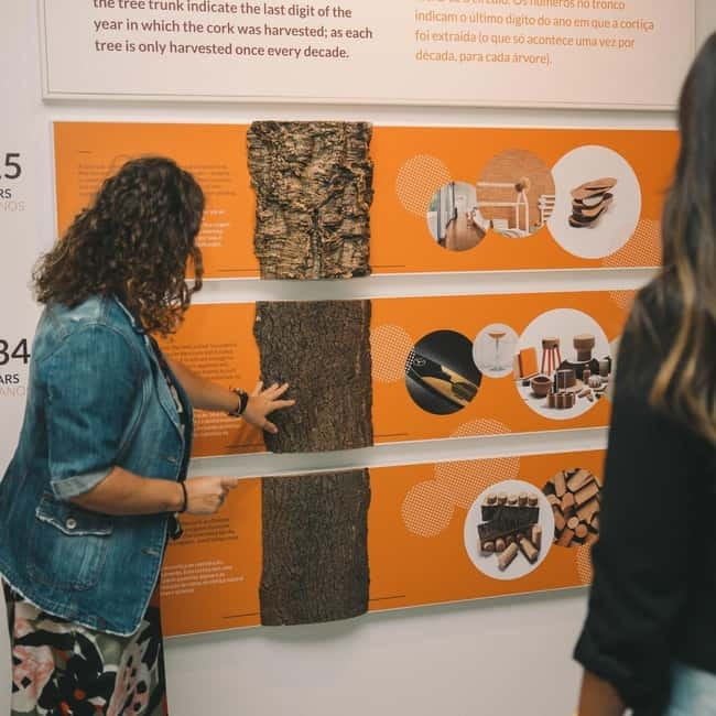 Porto: Combined Ticket for WOW Cultural District - Porto Region Across The Ages puts the city in context