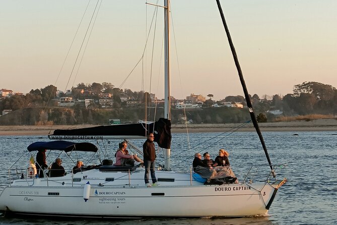 Porto: Cruzeiro privado rio douro até 8 pessoas com wine tasting - Why seeing Porto from the Douro changes the city