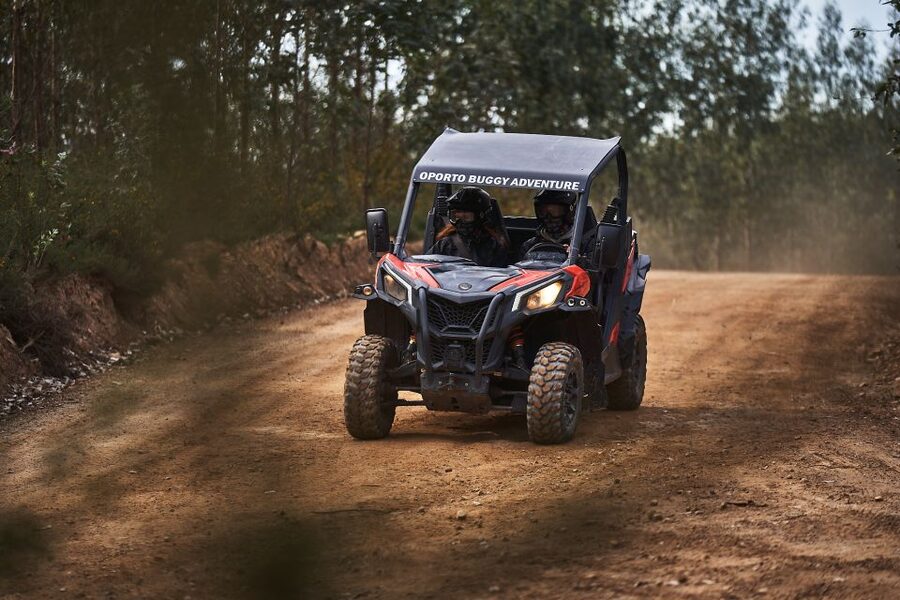 Porto: Dirt and Dust Tour by Oporto Buggy - A practical booking decision