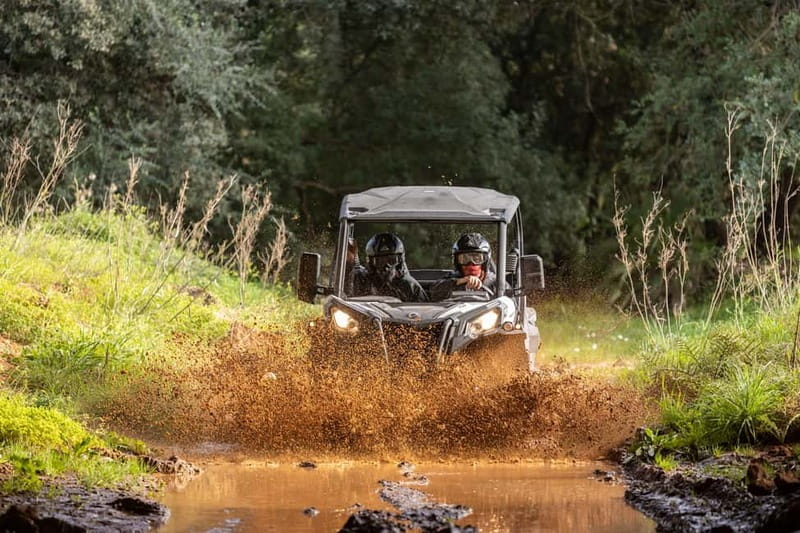 Porto: Dirt and Dust Tour by Oporto Buggy - What this Porto buggy ride is really about