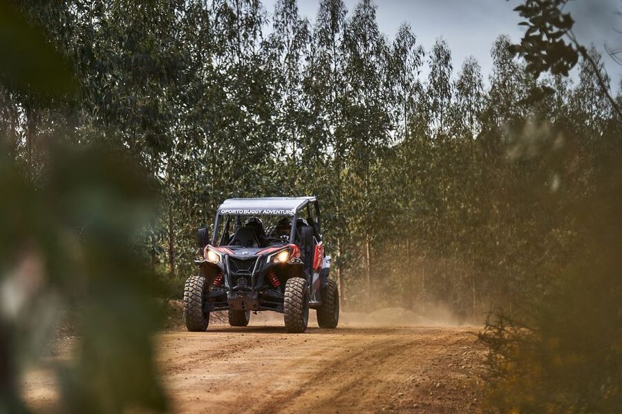 Porto: Dirt and Dust Tour by Oporto Buggy - Is $85 good value for two people?