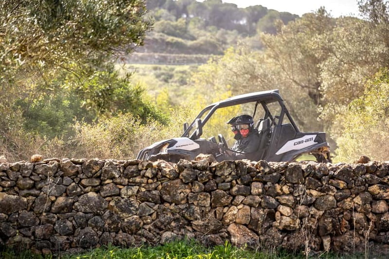Porto: Dirt and Dust Tour by Oporto Buggy - Who should book this activity?