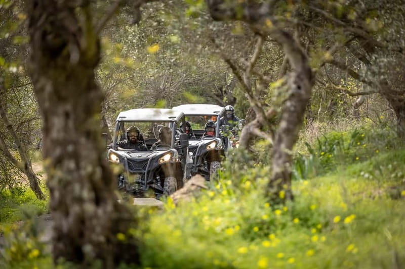 Porto: Dirt and Dust Tour by Oporto Buggy - Starting in Baltar, not central Porto