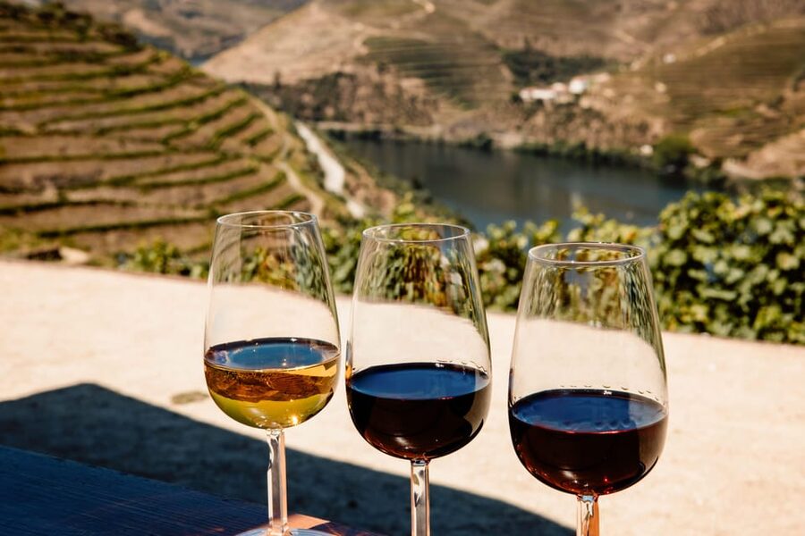 Porto: Douro Valley & Amarante Wine, Food & River Tour - The first Douro viewpoint and the famous N222