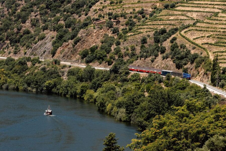 Porto: Douro Valley Full-Day Boat, Train, and Lunch Tour - Starting near Trindade Metro Station