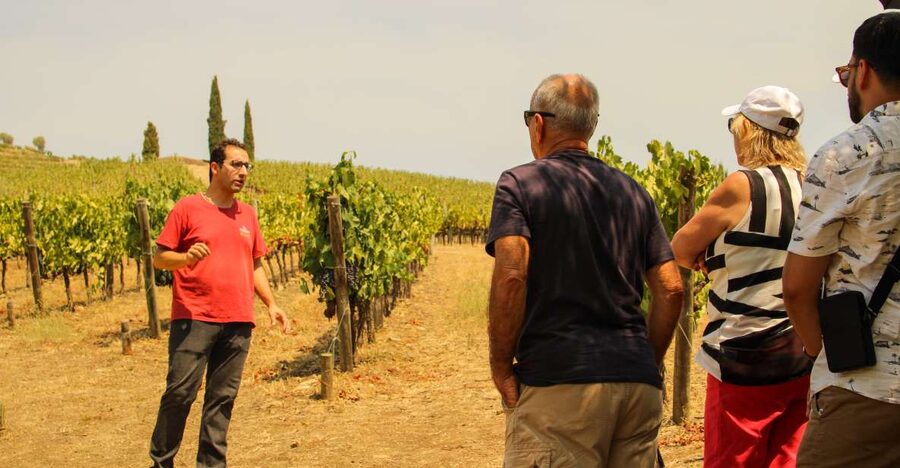Porto: Douro Valley History & Wine Tour with Cruise & Lunch - Why the Douro Valley is worth a full day
