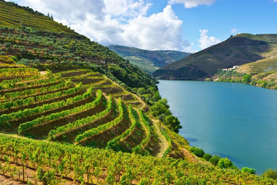 Porto: Douro Valley History & Wine Tour with Cruise & Lunch - Amarante: a short introduction to northern Portugal