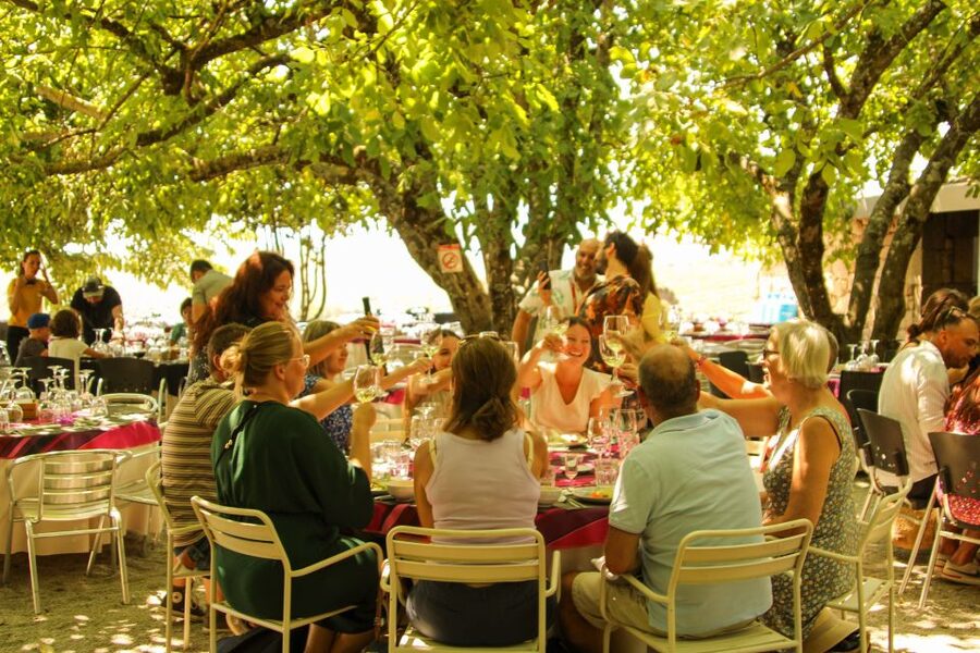 Porto: Douro Valley History & Wine Tour with Cruise & Lunch - A three-course Douro lunch with local wine