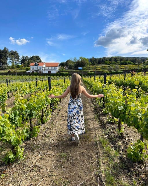 Porto: Douro Valley Tour with 2 Wineries, Lunch and Cruise - The return to Porto after a full day
