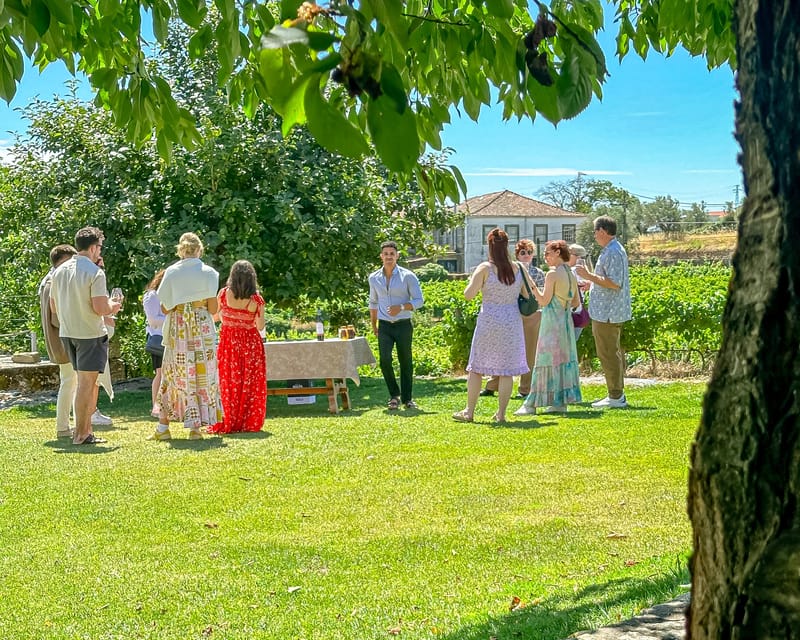 Porto: Douro Valley Tour with 2 Wineries, Lunch and Cruise - Why this Douro day trip works well from Porto