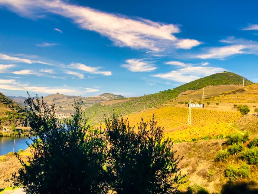 Porto: Douro Valley Tour with 2 Wineries, Lunch and Cruise - Winery one: Port, olive oil, and the making of wine