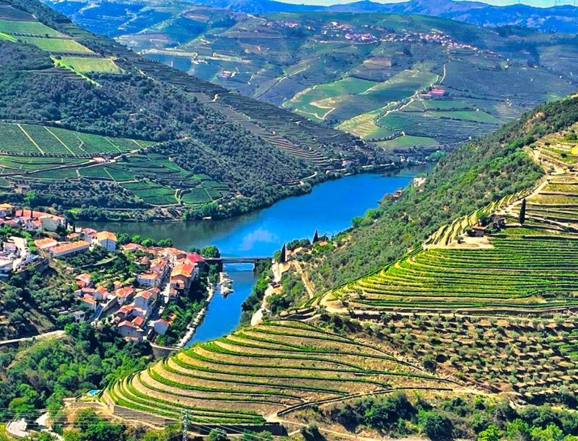 Porto: Douro Valley Tour with 2 Wineries, Lunch and Cruise - Winery two in Sabrosa: lunch with wine and a view