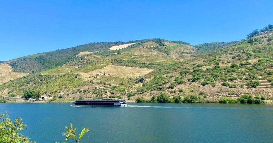 Porto: Douro Valley Tour with 2 Wineries, Lunch and Cruise - The second winery tour and tasting