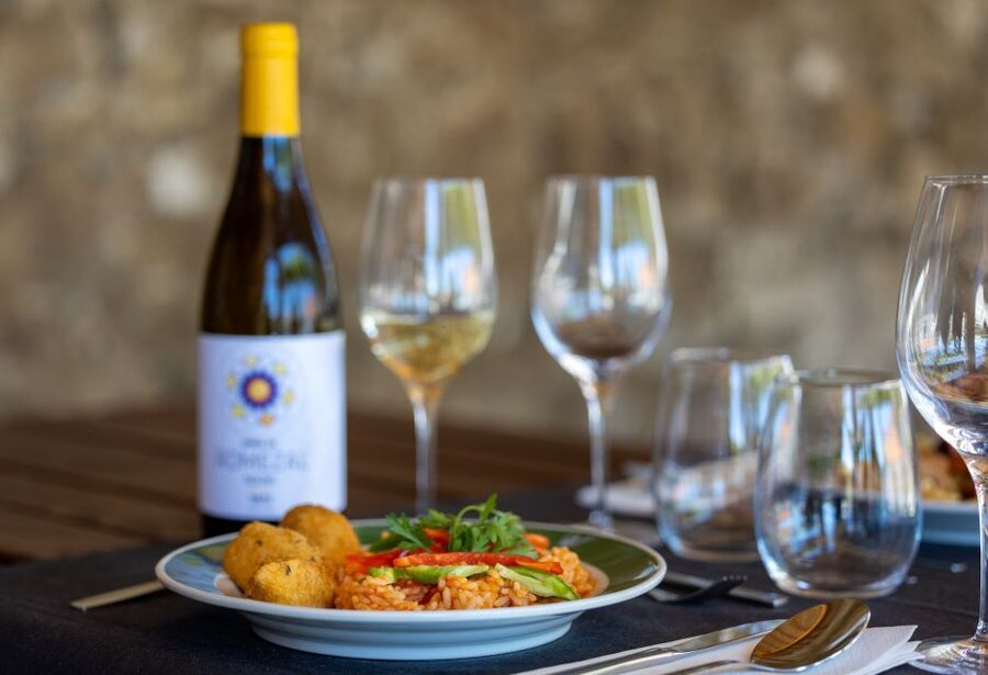 Porto: Douro Valley Tour with Lunch, Boat Cruise & Tastings - The guides make the long day easier
