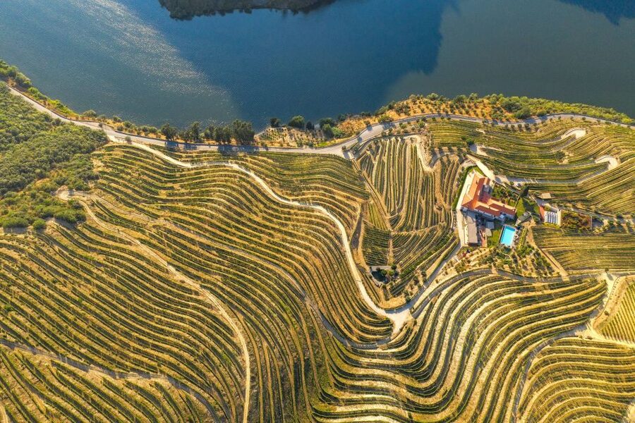 Porto: Douro Valley Tour with Lunch, Boat Cruise & Tastings - Lunch inside a wine cellar