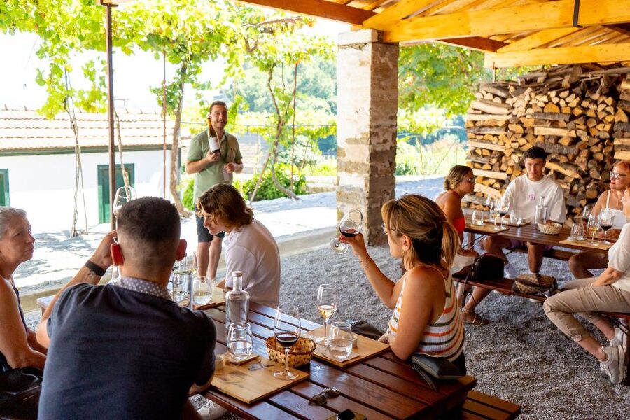 Porto: Douro Valley Tour with Lunch, Boat Cruise & Tastings - The second cellar, wine shop, and olive oil tasting