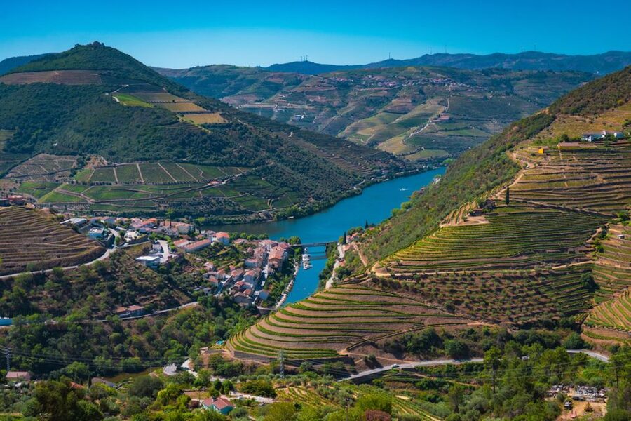 Porto: Douro Valley Tour with Lunch, Boat Cruise & Tastings - Régua, the N222, and the best photo chances