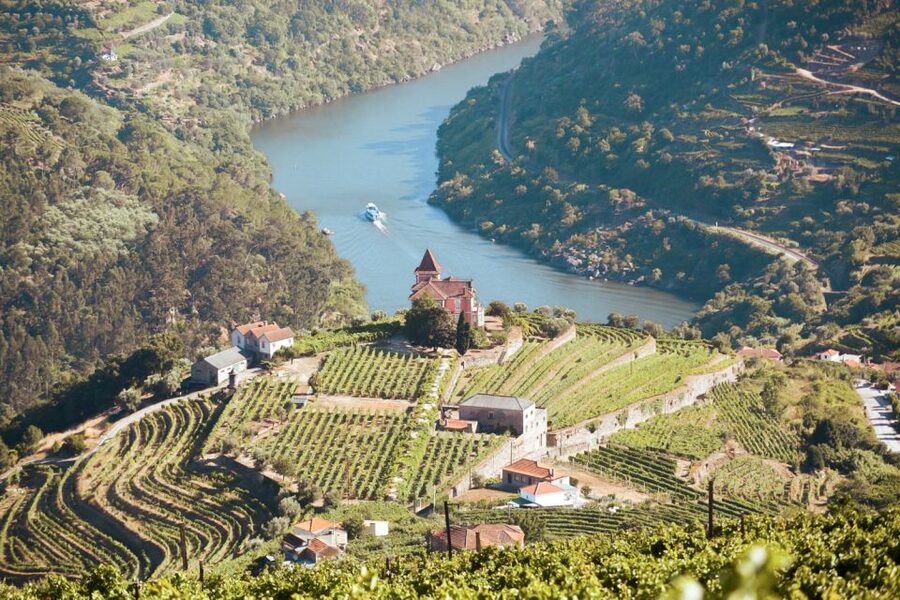 Porto: Douro Valley Tour with Wine Tasting, Cruise and Lunch - Why the Douro Valley deserves a day from Porto