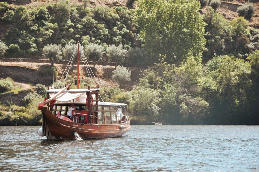 Porto: Douro Valley Tour with Wine Tasting, Cruise and Lunch - Guides make or break a long day