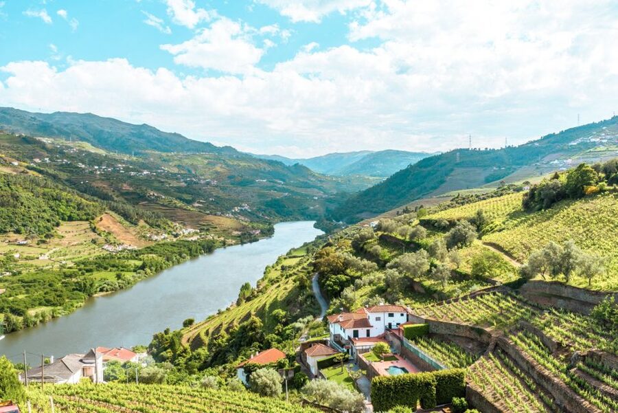 Porto: Douro Valley Tour with Wine Tasting, Cruise and Lunch - Starting in Porto and heading inland