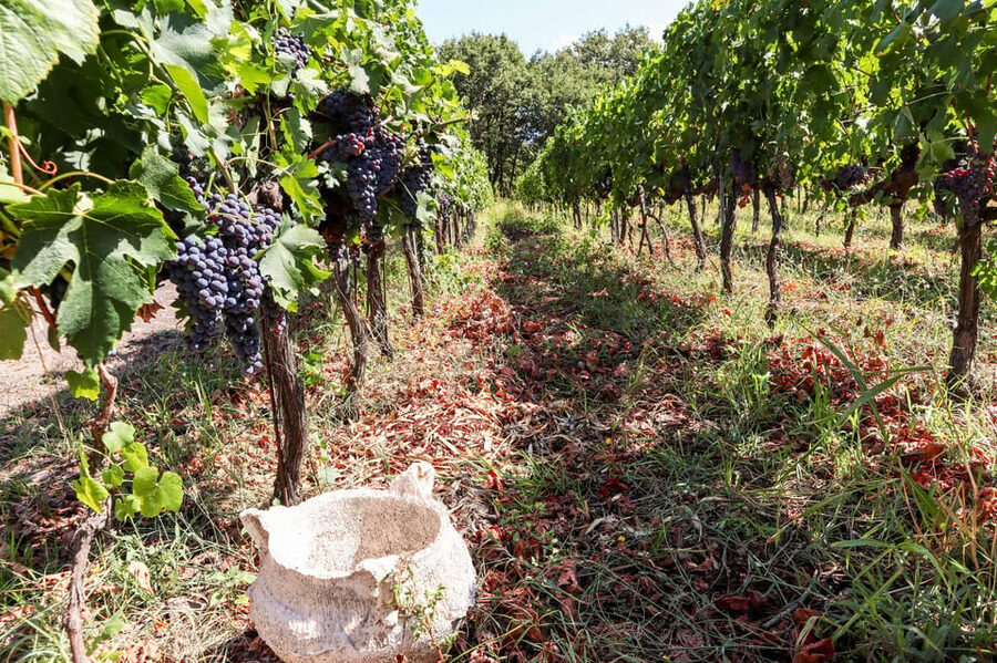 Porto: Douro Valley Wine Tour with a Sommelier & Boat Trip - Is $127 a fair price?