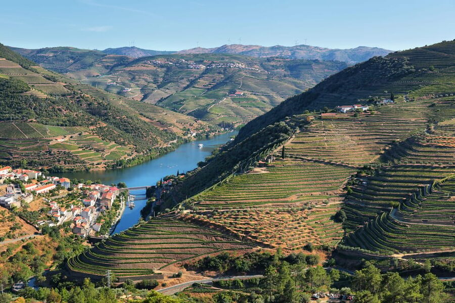Porto: Douro Valley Wine Tour with a Sommelier & Boat Trip - The N222 road into the Douro Valley