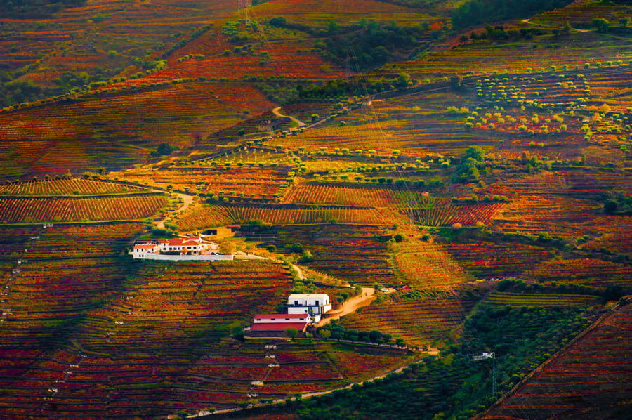 Porto: Douro Valley Wine Tour with a Sommelier & Boat Trip - What 15 wines really means